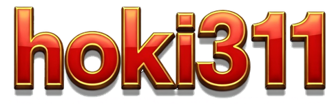 hoki311 logo
